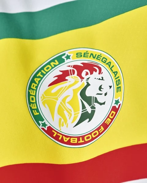 Nogometni Dresovi Svjetsko prvenstvo 2022 Senegal Domaći